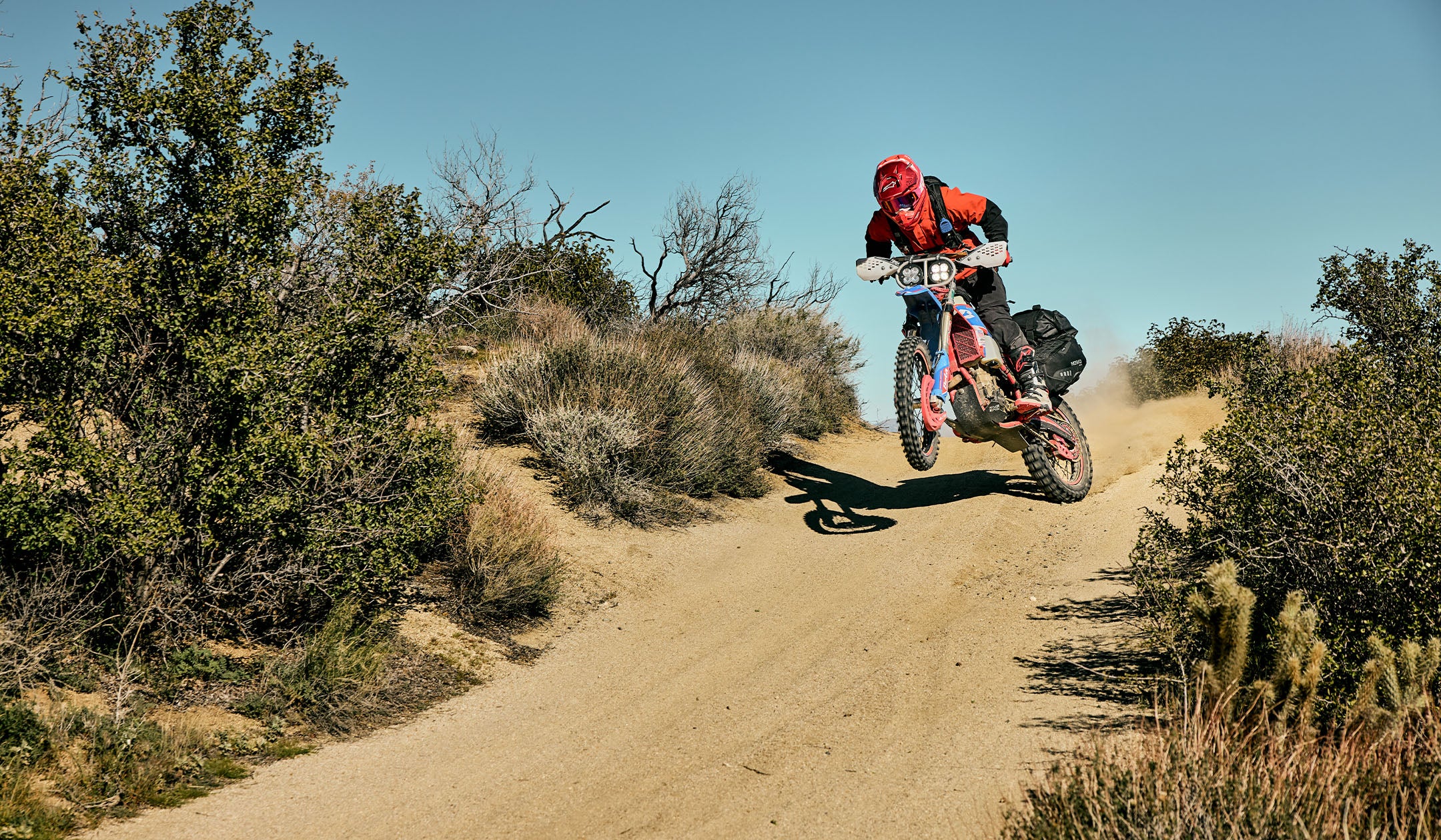 Built for the Untamed Road